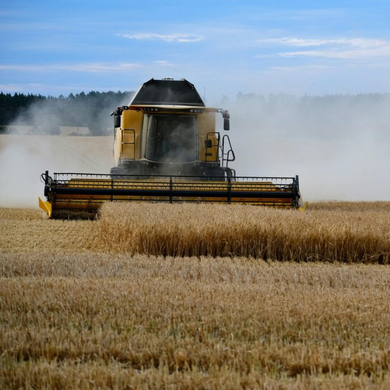 grain field representing agricultural sourcing services